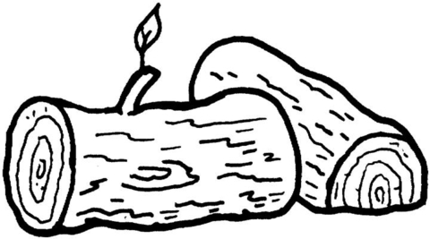 Logs  Coloring Page